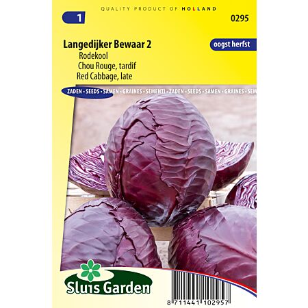 Später Rotkohl Langedijker Bewaar 2 - Kohlsorten