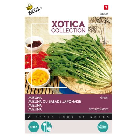 Buzzy Xotica Mizuna, Japanse salade