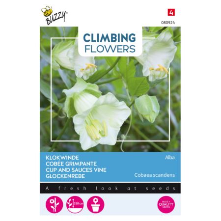 Buzzy Climbing Flowers, Cobaea Alba Wit