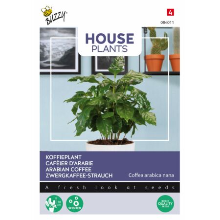 Buzzy House Plants Coffea Arabica, Koffieplant