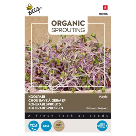 Buzzy Organic Sprouting Koolrabi blauwpaars (BIO)