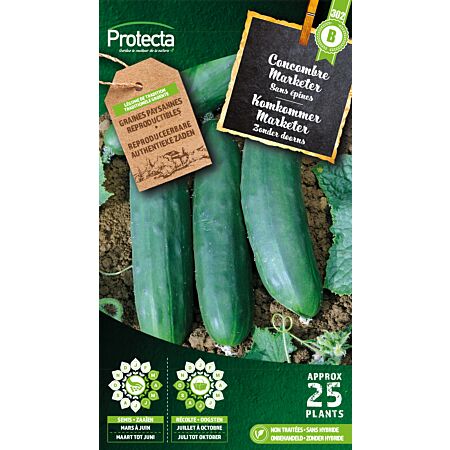 Komkommer Marketer - Protecta Traditionele Reproduceerbare Autenthentieke Zaden