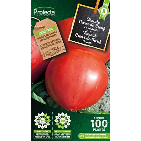 Tomate Cœur de Bœuf – Protecta Graines paysanne