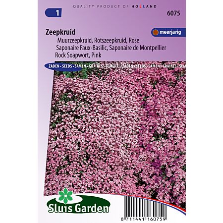 Zeepkruid Rose-Pink (Saponaria)