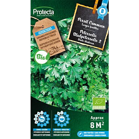 Peterselie Bladpeterselie BIO-01 - Protecta Traditionele Reproduceerbare Autenthentieke Zaden