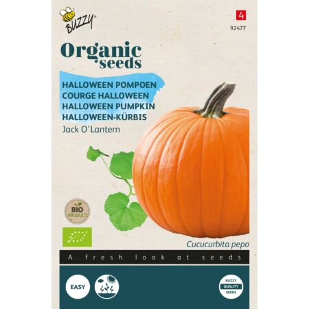 Buzzy Organic Pompoen Jack O'Lantern - Bio