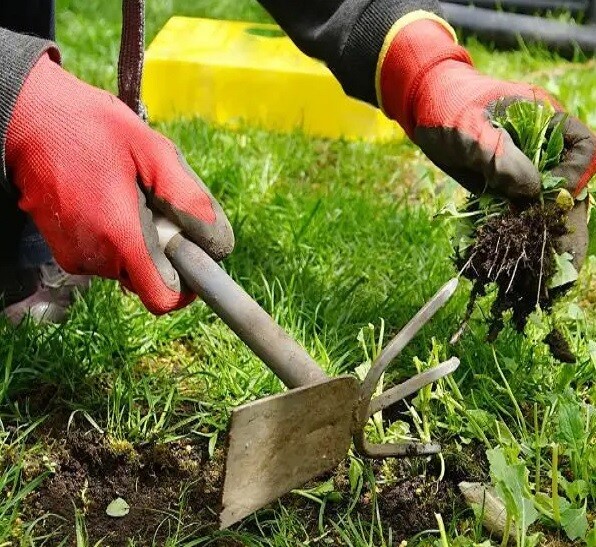 Préparation pour le printemps : un plan en 8 étapes pour un jardin resplendissant